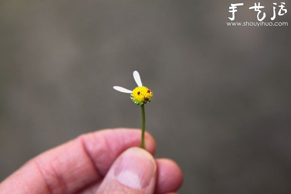 有趣又溫馨的創(chuàng)意家居布置 -  itrip.net.cn