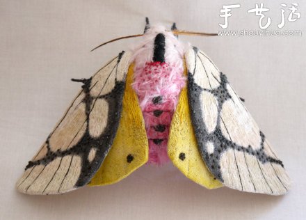 布藝?yán)ハx(chóng)：蝴蝶、蛾子、蚱蜢 -  itrip.net.cn