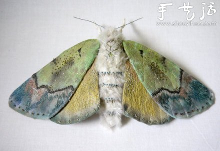 布藝?yán)ハx(chóng)：蝴蝶、蛾子、蚱蜢 -  itrip.net.cn