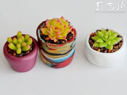 首飾泥DIY易打理的多肉植物盆栽 -  itrip.net.cn