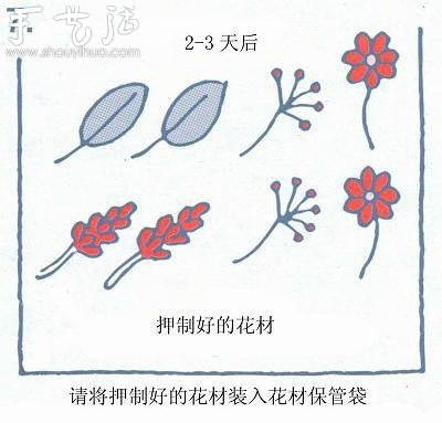 小清新押花相框的制作方法 -  itrip.net.cn