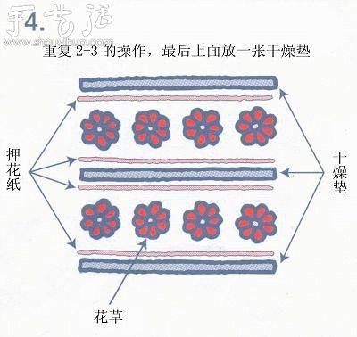 小清新押花相框的制作方法 -  itrip.net.cn