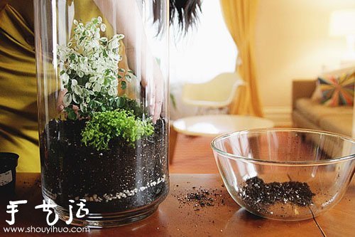 手工制作漂亮的迷你盆景 -  itrip.net.cn