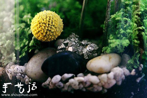 手工制作漂亮的迷你盆景 -  itrip.net.cn