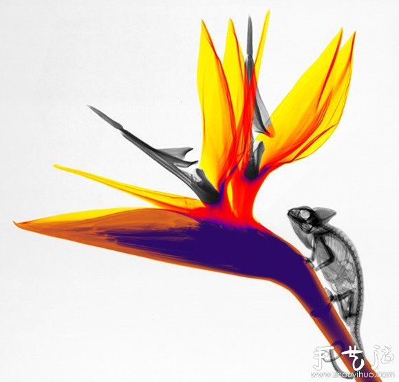猶如水墨畫(huà)的創(chuàng)意攝影作品 -  itrip.net.cn