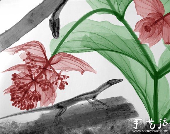 猶如水墨畫(huà)的創(chuàng)意攝影作品 -  itrip.net.cn