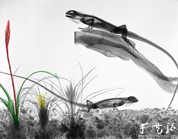 猶如水墨畫(huà)的創(chuàng)意攝影作品 -  itrip.net.cn