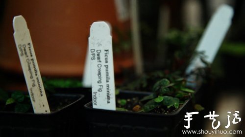 玻璃瓶制作屬于你的秘密花園 -  itrip.net.cn