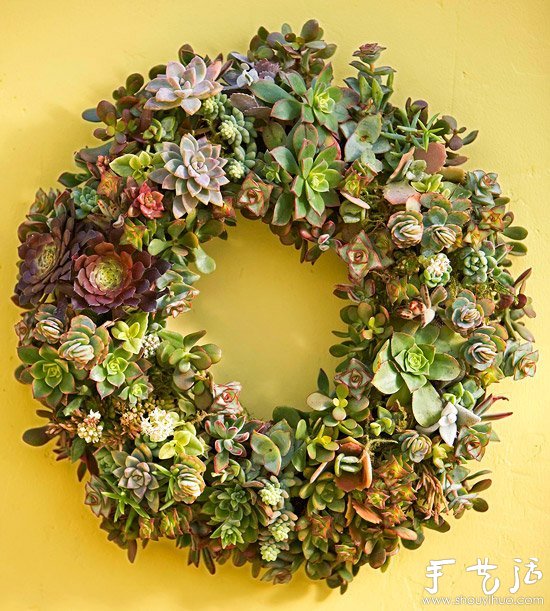 DIY漂亮多肉植物花環(huán) 裝飾溫馨家居生活 -  itrip.net.cn