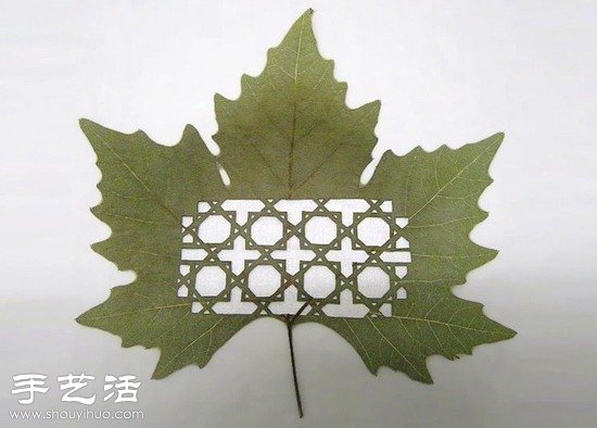 融合中國剪紙及雕花工藝的樹葉雕刻 -  itrip.net.cn