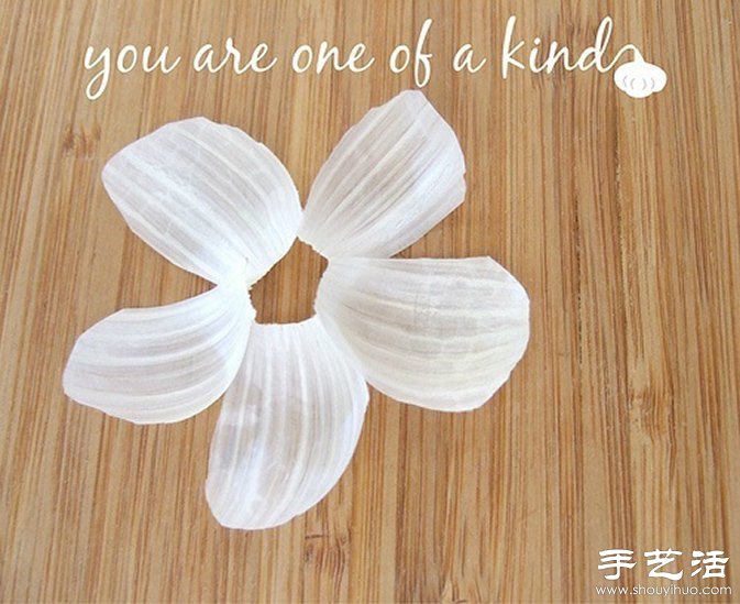 創(chuàng)意DIY：原來大蒜也能玩得這么有趣！ -  itrip.net.cn