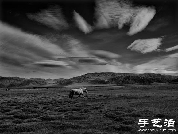 2014年Sony World攝影大賽之趣味狂野動物世界 -  itrip.net.cn