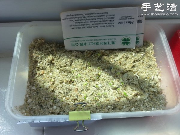 超詳細水培種菜教程 家里也可以方便種菜啦！ -  itrip.net.cn