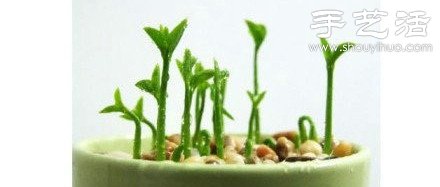柚子核/桂圓核廢物利用 手工自制可愛小盆栽 -  itrip.net.cn