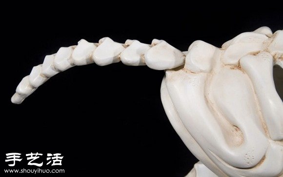印度藝術(shù)家DIY的史前怪獸汽車模型 -  itrip.net.cn