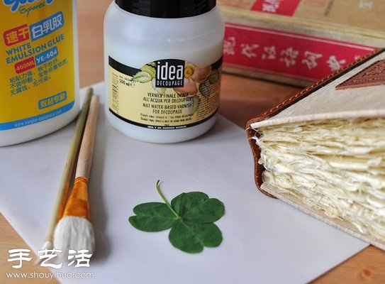 押花藝術DIY“植物百科全書” -  itrip.net.cn