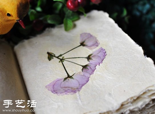 押花藝術DIY“植物百科全書” -  itrip.net.cn