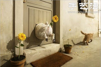 貓狗的趣味創(chuàng)意造型 -  itrip.net.cn