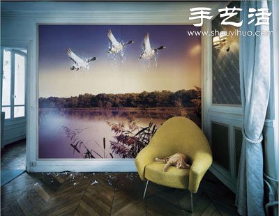 貓狗的趣味創(chuàng)意造型 -  itrip.net.cn