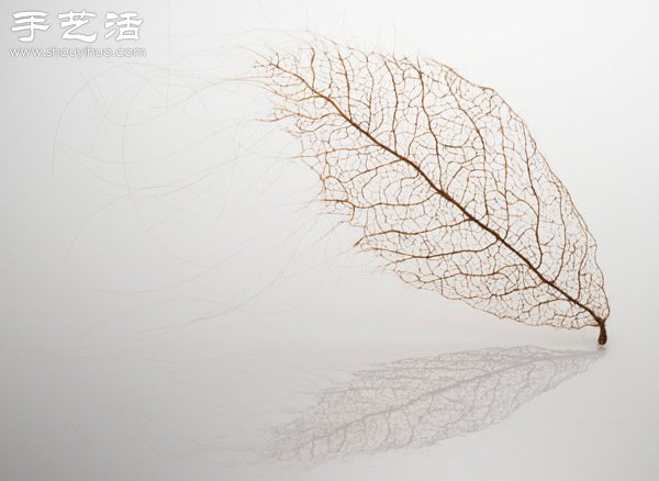 頭發(fā)絲編織落葉 宛如精致藝術(shù)品 -  itrip.net.cn