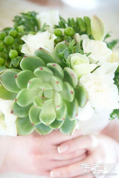 多肉植物DIY環(huán)保個(gè)性婚慶布置 -  itrip.net.cn
