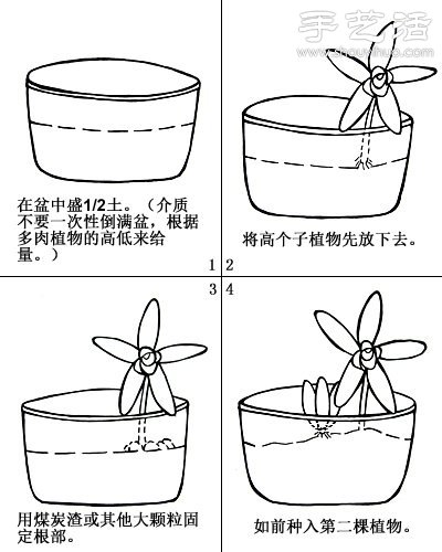 如何DIY多肉拼盤 多肉拼盤基本教程 -  itrip.net.cn