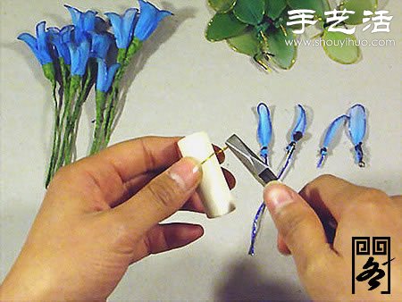 絲襪花矢車草的制作方法 -  itrip.net.cn