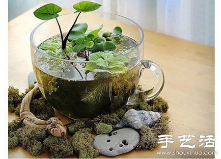 瓶瓶罐罐廢物利用DIY迷你盆栽 -  itrip.net.cn