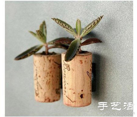瓶瓶罐罐廢物利用DIY迷你盆栽 -  itrip.net.cn
