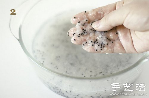 火龍果的籽DIY可愛觀賞盆栽 -  itrip.net.cn