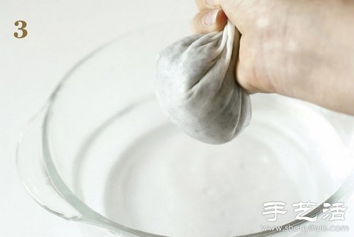 火龍果的籽DIY可愛觀賞盆栽 -  itrip.net.cn