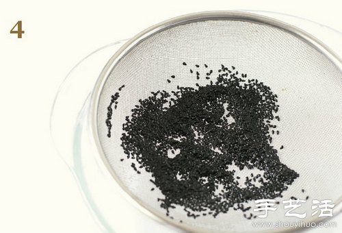 火龍果的籽DIY可愛觀賞盆栽 -  itrip.net.cn