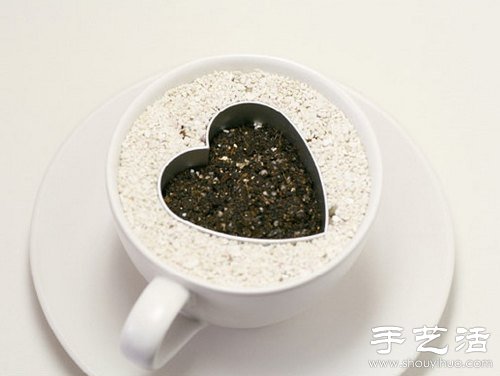 火龍果的籽DIY可愛觀賞盆栽 -  itrip.net.cn