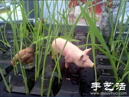 DIY長草的惡搞鍵盤 -  itrip.net.cn