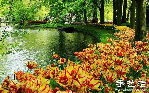春季最美的花園——庫肯霍夫公園 -  itrip.net.cn