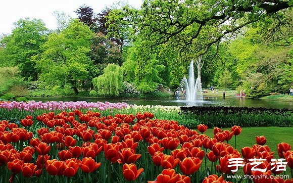 春季最美的花園——庫肯霍夫公園 -  itrip.net.cn
