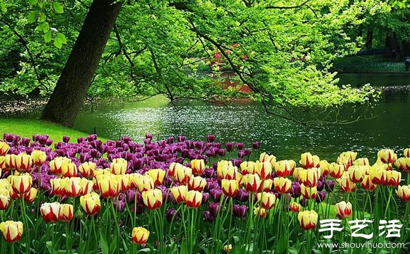 春季最美的花園——庫肯霍夫公園 -  itrip.net.cn
