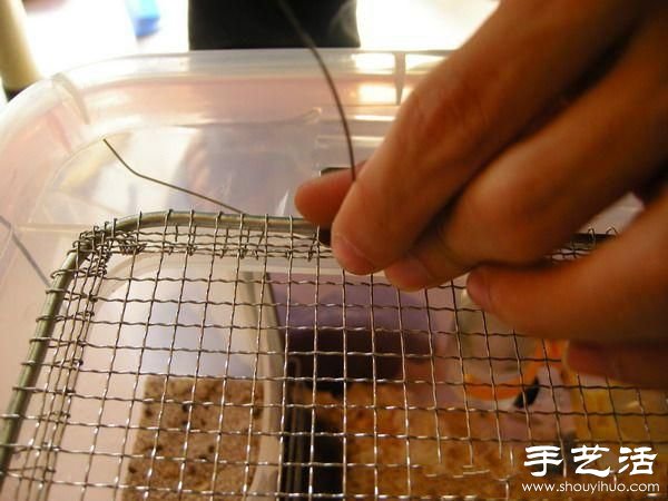 超大倉(cāng)鼠籠制作方法 整理箱DIY倉(cāng)鼠籠子 -  itrip.net.cn