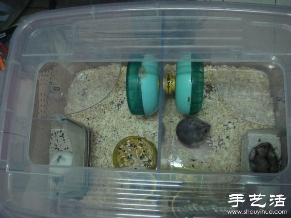 超大倉(cāng)鼠籠制作方法 整理箱DIY倉(cāng)鼠籠子 -  itrip.net.cn
