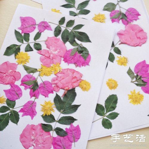 鮮花+打印機 DIY制作漂亮花卉圖案包裝紙 -  itrip.net.cn