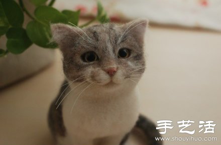 超萌的手工制作羊毛氈貓咪玩偶 -  itrip.net.cn