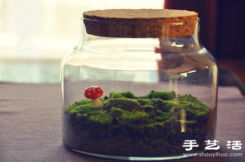 玻璃罐和苔蘚植物DIY的可愛(ài)裝飾擺件 -  itrip.net.cn