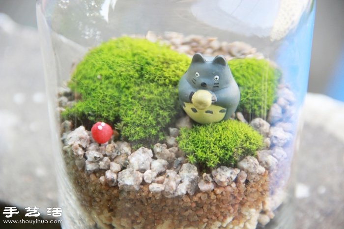 DIY可愛的苔蘚造景 自制漂亮苔蘚微景觀 -  itrip.net.cn