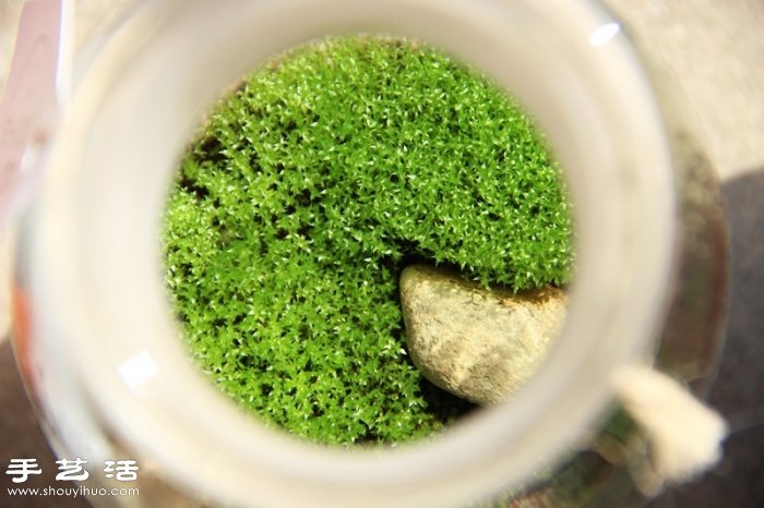 DIY可愛的苔蘚造景 自制漂亮苔蘚微景觀 -  itrip.net.cn