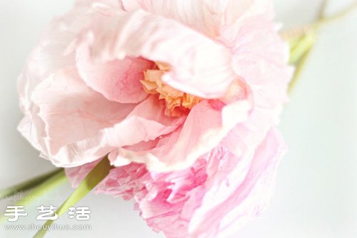 皺紋紙/宣紙DIY手工制作美麗逼真紙花 -  itrip.net.cn