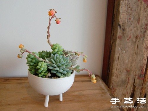 裝飾現(xiàn)代風(fēng)格家居的10款創(chuàng)意花盆盆栽 -  itrip.net.cn