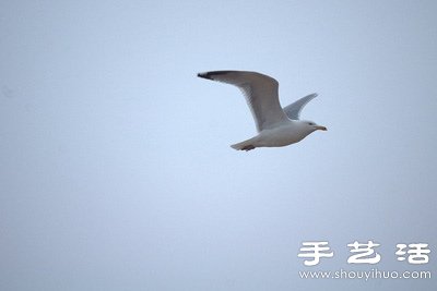 自己動手給長鏡頭DIY瞄準(zhǔn)器 -  itrip.net.cn