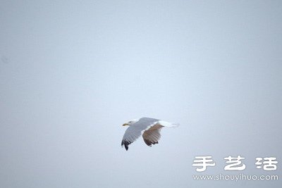 自己動手給長鏡頭DIY瞄準(zhǔn)器 -  itrip.net.cn