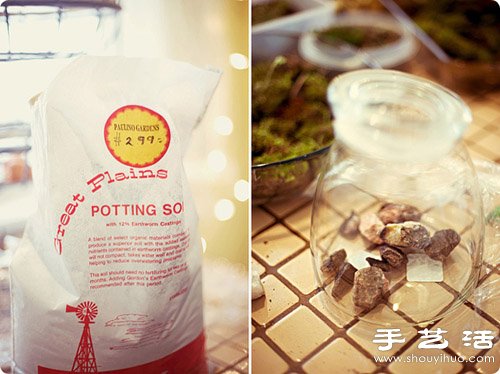 手工制作精致的玻璃瓶盆景圖解教程 -  itrip.net.cn