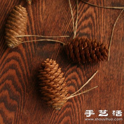 松子變廢為寶 DIY漂亮節(jié)日裝飾品 -  itrip.net.cn